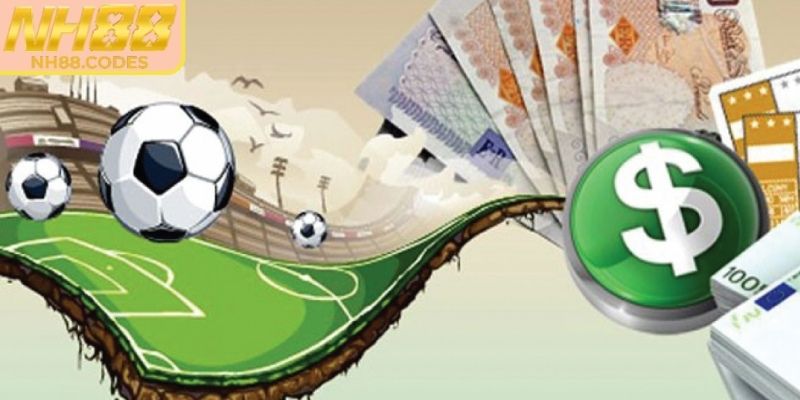 Loại hình được lựa chọn và yêu thích nhất